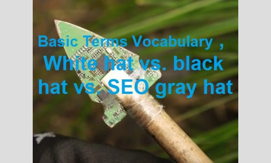 Basic Terms Vocabulary , White hat vs. black hat vs. SEO gray hat
