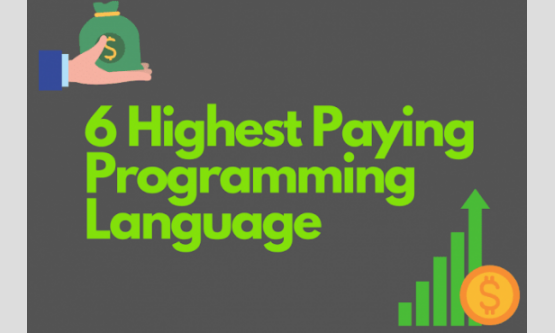 This 6 Programming language makes you Rich